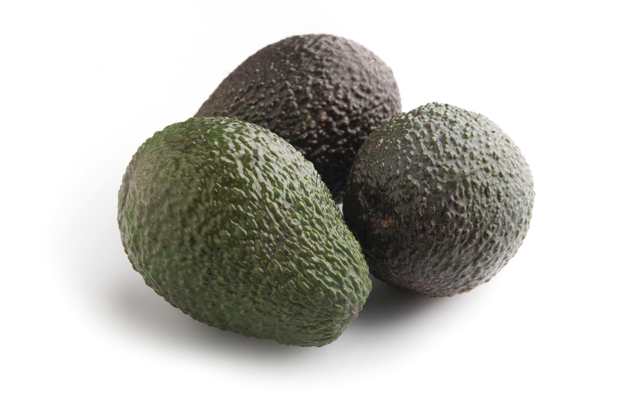 METRO Chef Aguacate calibre 18/22 malla 1kg