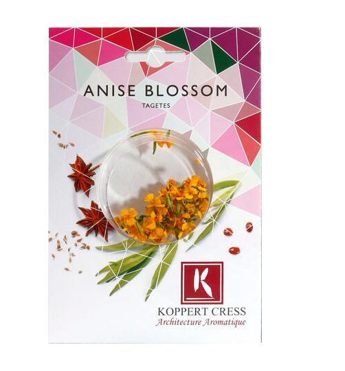 Anise blossom tarrina contiene 50ud