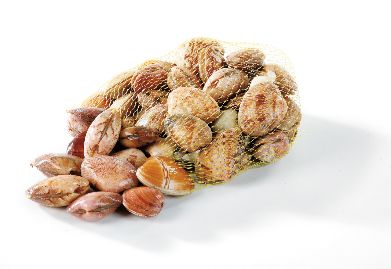 METRO Chef almeja rubia contiene 40-60piezas/kg FAO 27 Atlántico Noroeste (1000 g aprox.)