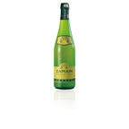 Zapiain Sidra natural botella 75cl