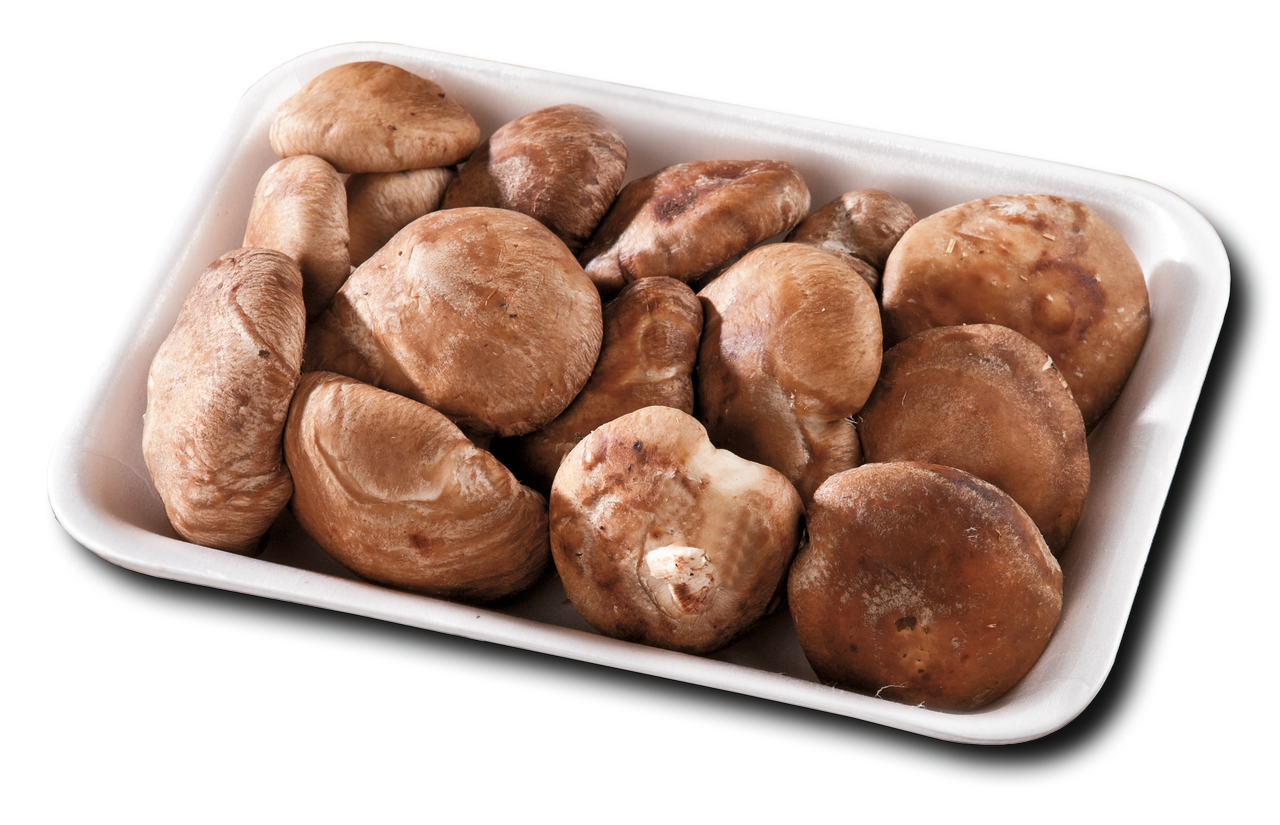Seta shiitake en bandeja 400g