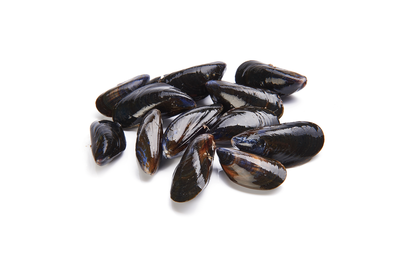 mejillón atmósfera 28-34 piezas/kg origen España FAO 27 Atlántico Noreste 1 kg
