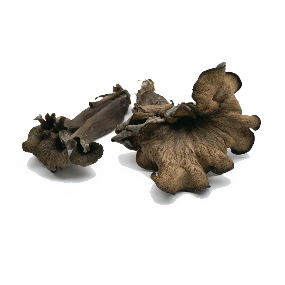 Seta trompeta negra silvestre en caja peso 1 kg