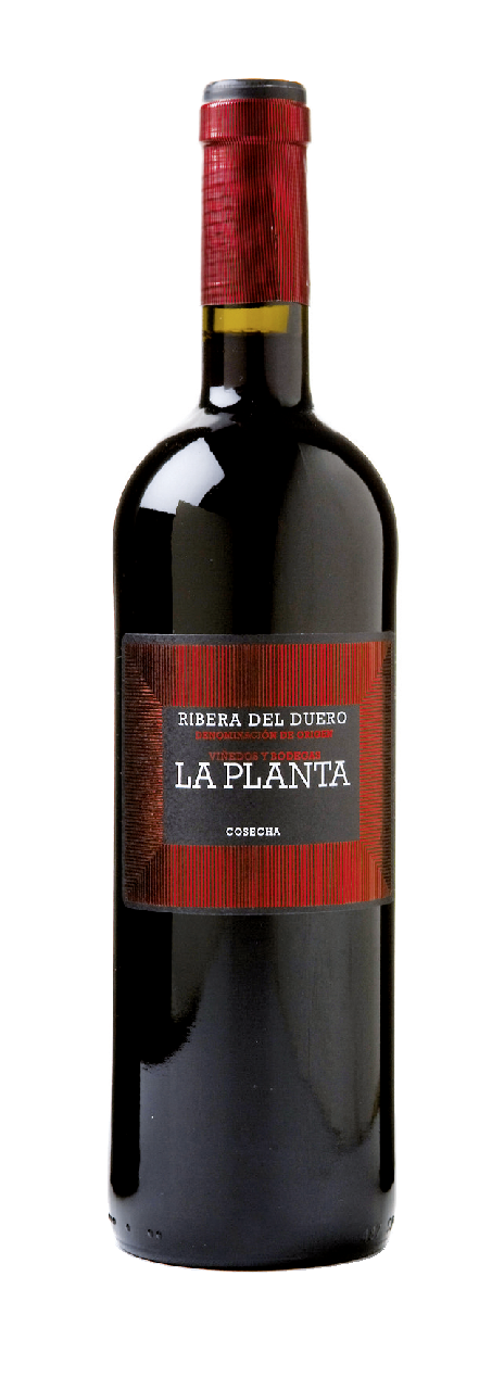 La Planta vino tinto roble Ribera del Duero botella 75cl