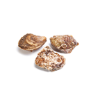 Ostra plana especial cultivo España 1kg , al peso