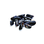 mejillón cultivo España 19-20 piezas/kg FAO 27 Atlántico Noreste 5 kg