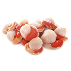 Noix de St Jacques coraillée pêchée en Atlantique Nord-Est colis 2 kg