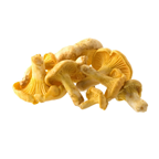 Champignon Girolle tout calibre 1 kg Macédoine