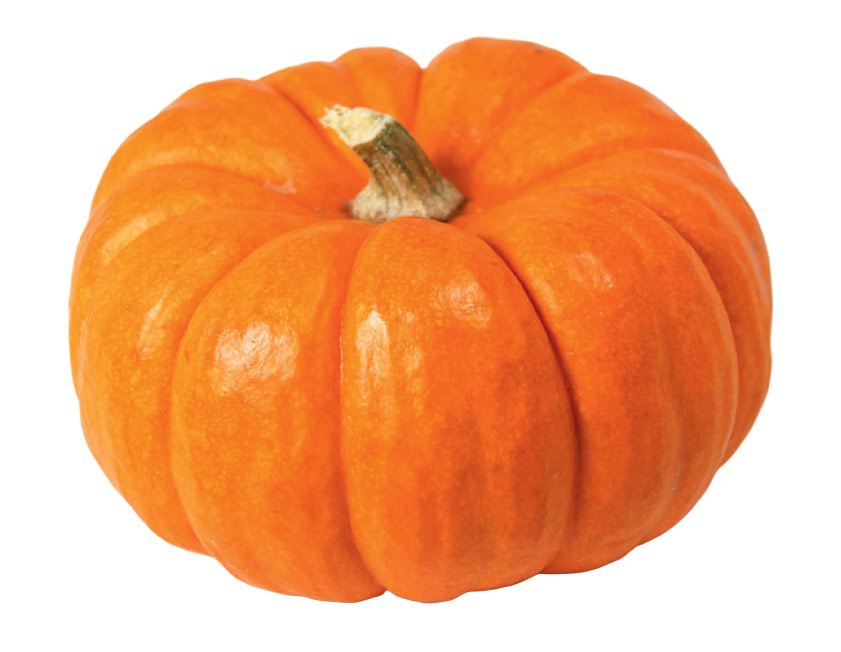 Courge Jack Be Little France 1 kg