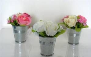 Rosette dans pot zinc