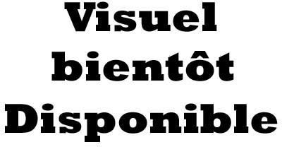 Spatule manche résine 32 cm