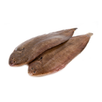 Sole calibre 400/600 pêchée en Atlantique Nord-Est