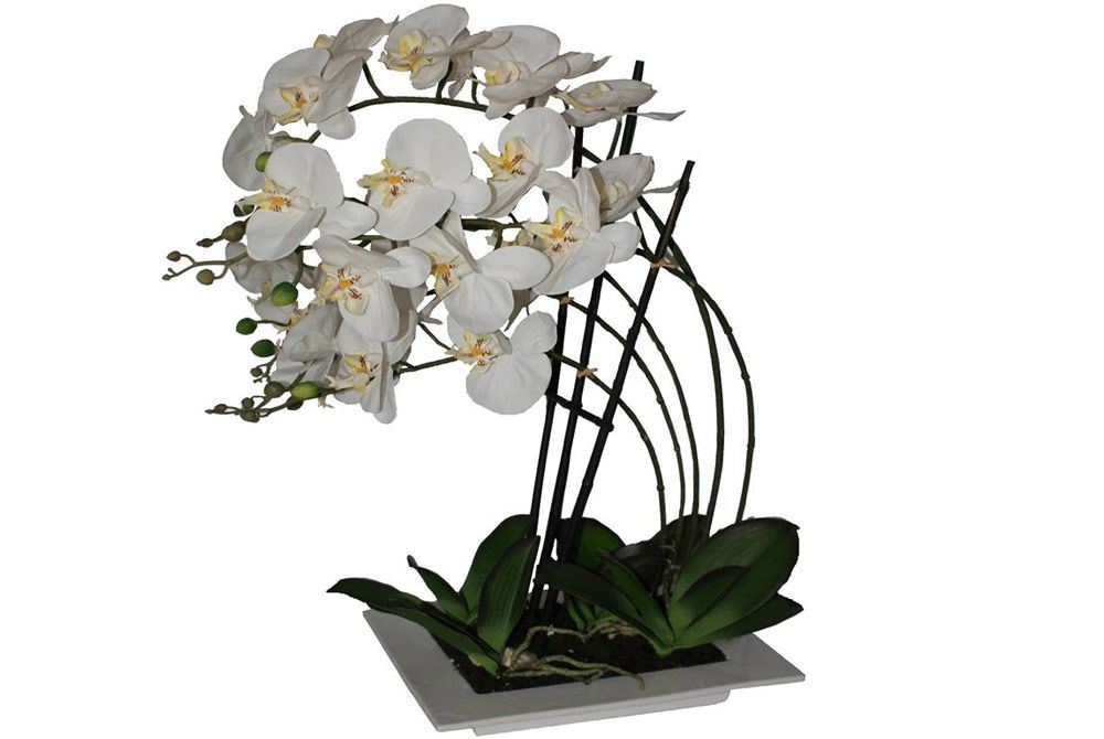 Coupe Orchidée blanc 5 branches