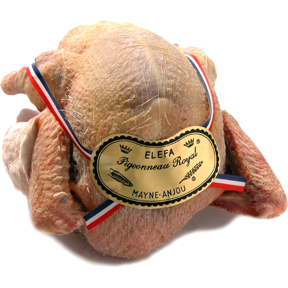Pigeonneau royal Plein au Sang x4 carton nu France
