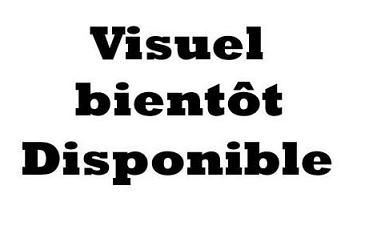 12 plats fruits de mer ronds 32 cm