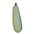 Courgette blanche 5 kg calibre 14/21 catégorie 1 France