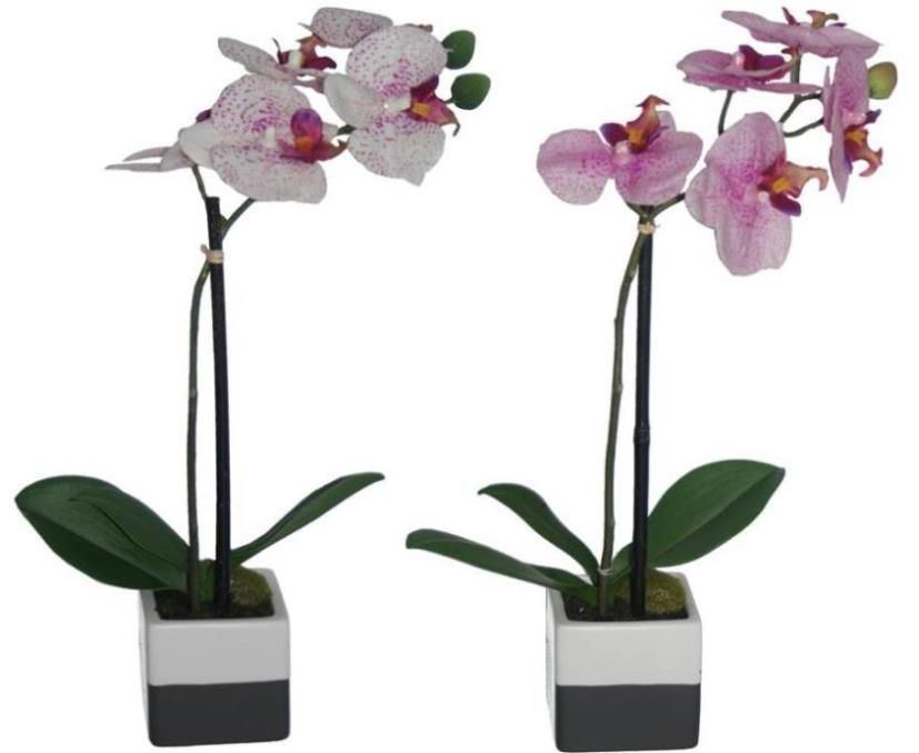 Orchidée tigrée 36 cm (modèle au choix) Maxita