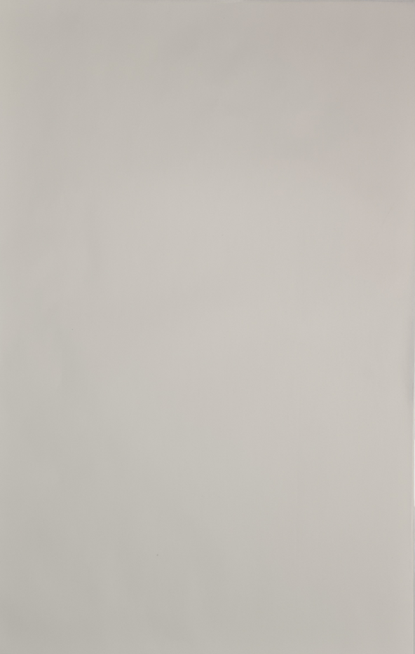 Papier ingraissable blanc 45 g 33 x 50 cm 10 kg Mupa