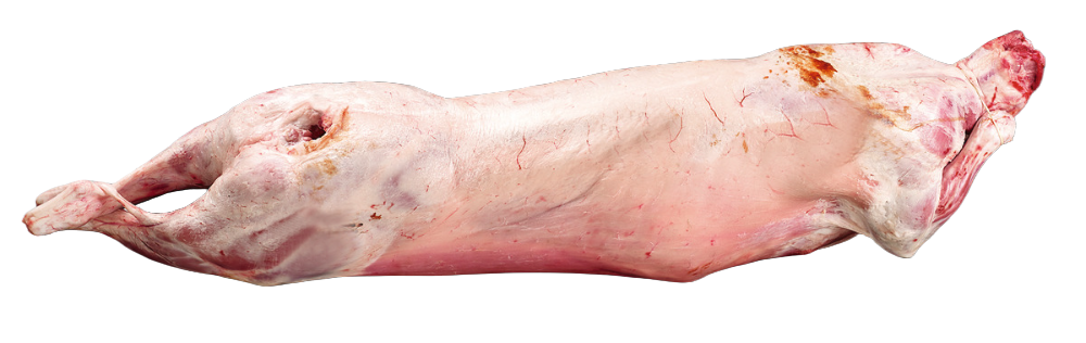 Carcasse d'agneau BIO nu France