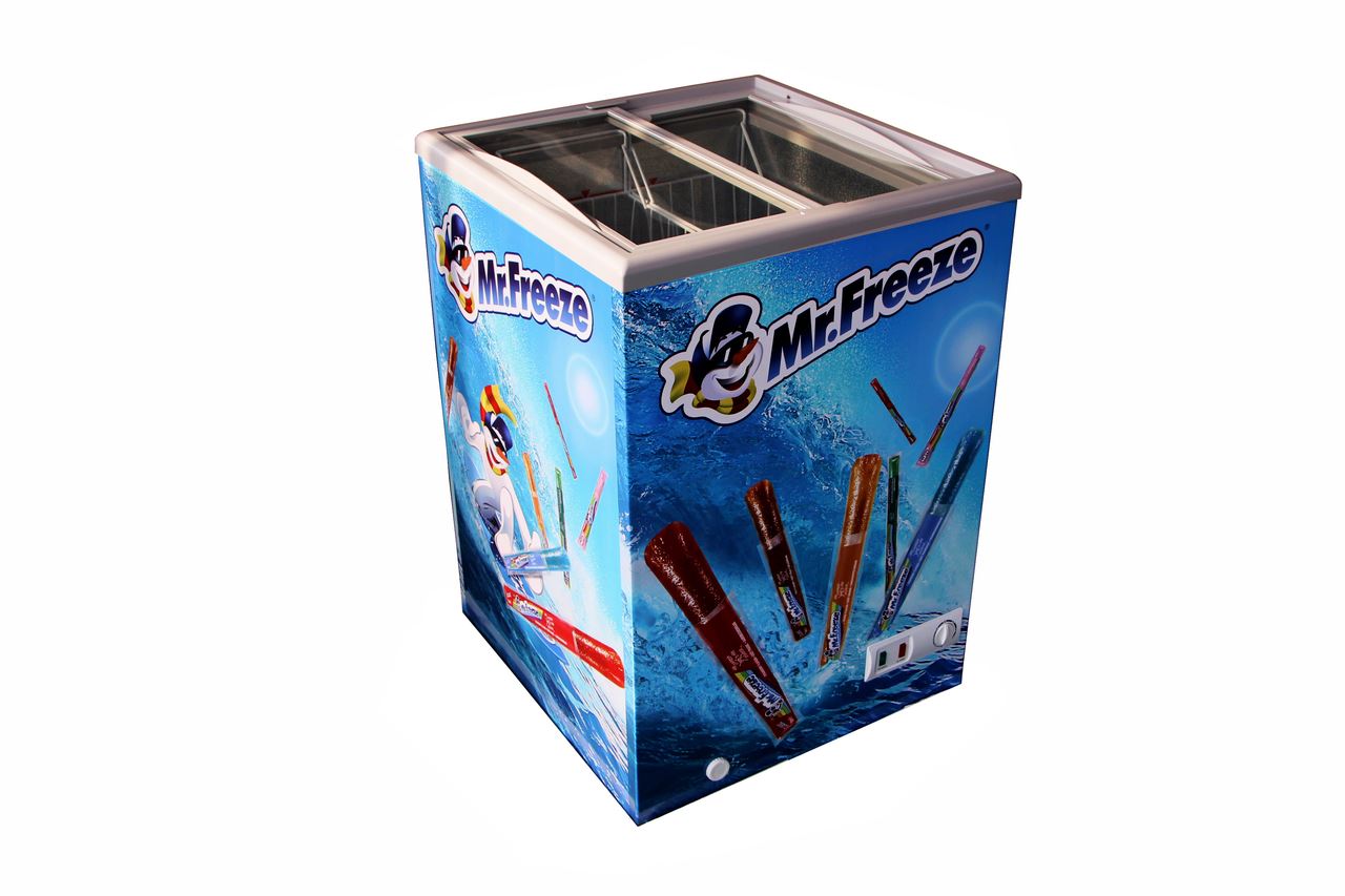 Conservateur à glace Mr Freeze 100 L