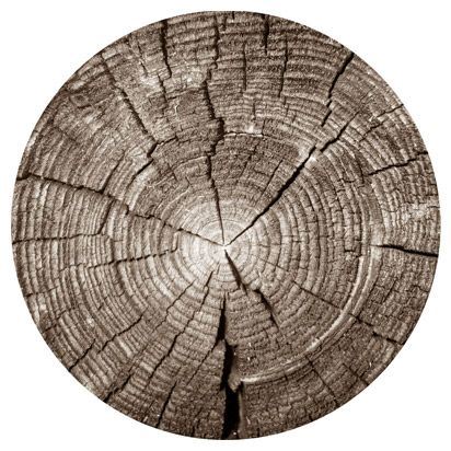 Set de table rond tronc d'arbre marron 38 cm Calitex
