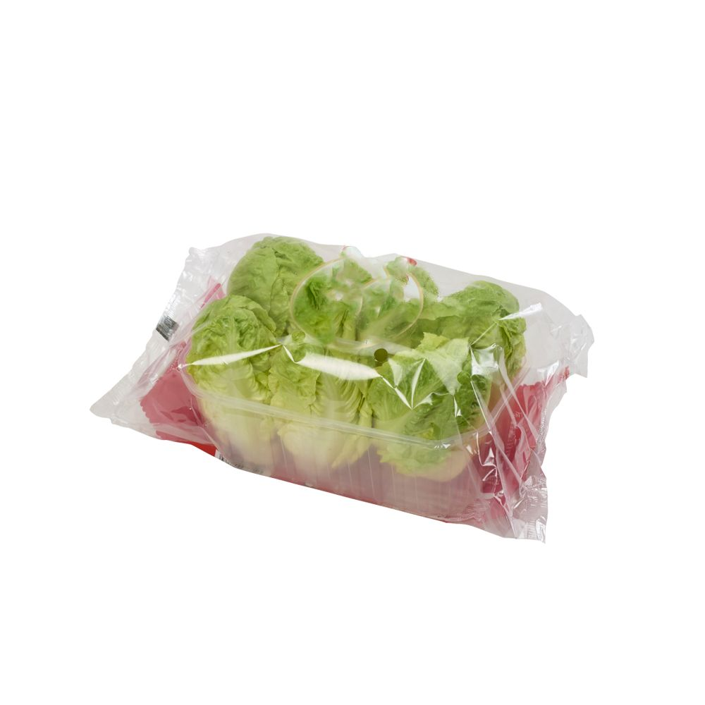 Salade coeur de sucrine barquette 6 pièces catégorie 1 Espagne 