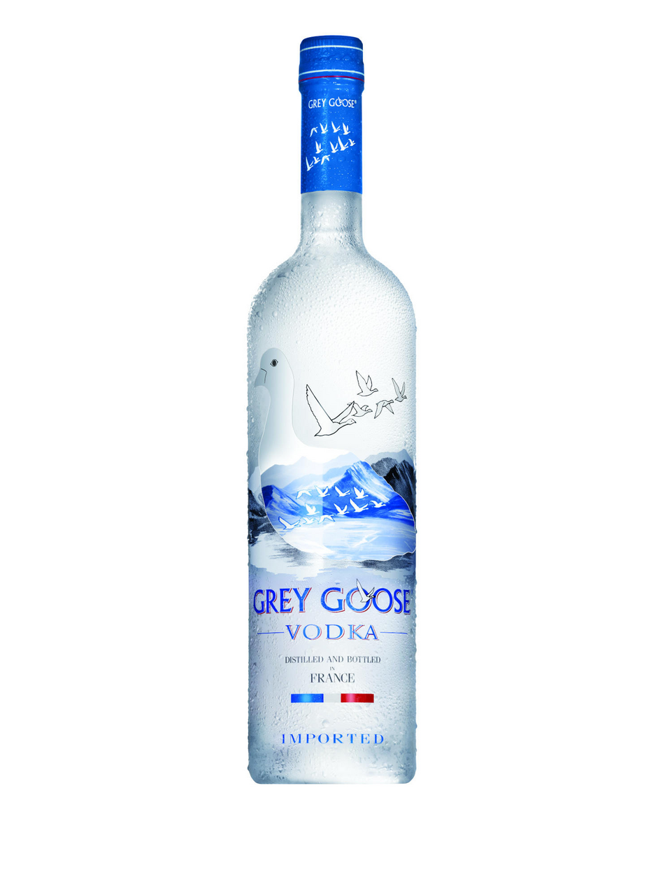 Grey Goose Vodka 40° 70 cl