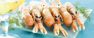 Eurocontact Langoustine entière crue 16/20 1 kg
