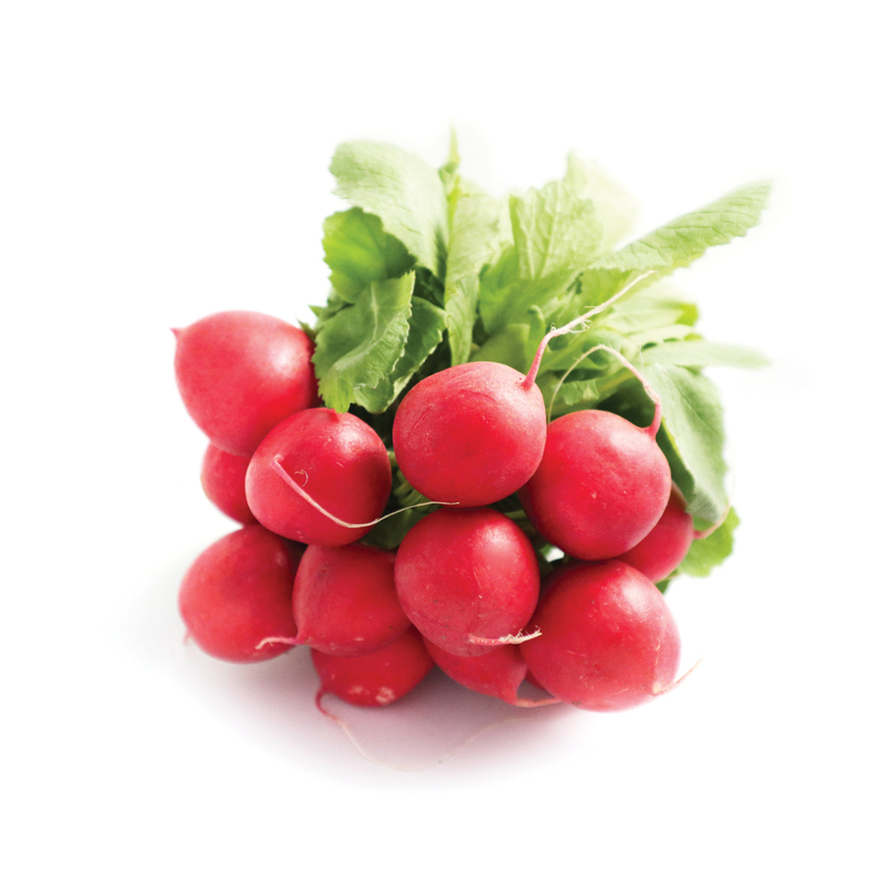 Radis rouge botte France