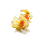 Physalis barquette 100 g Colombie