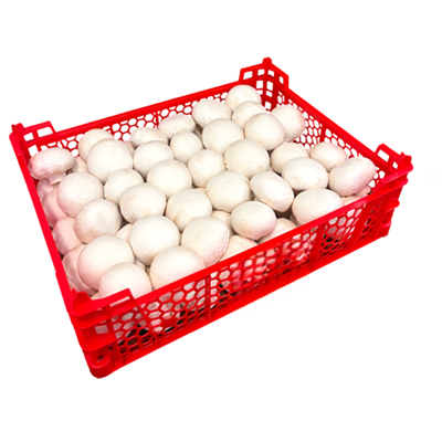 Champignon Pied Coupe Moyen Categorie 1 3 Kg France Metro