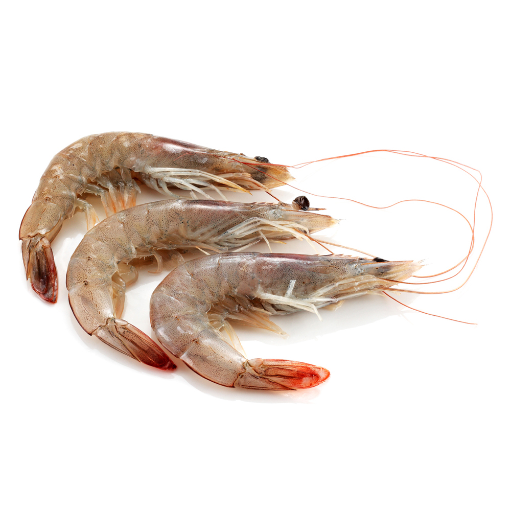 Crevette crue décongelée calibre 20/30 élevage Equateur colis 2 kg
