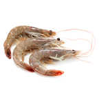 Crevette crue décongelée calibre 20/30 élevage Equateur colis 2 kg