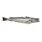 Merlu calibre 1.8/2.5 pêché en Atlantique Nord-Est 