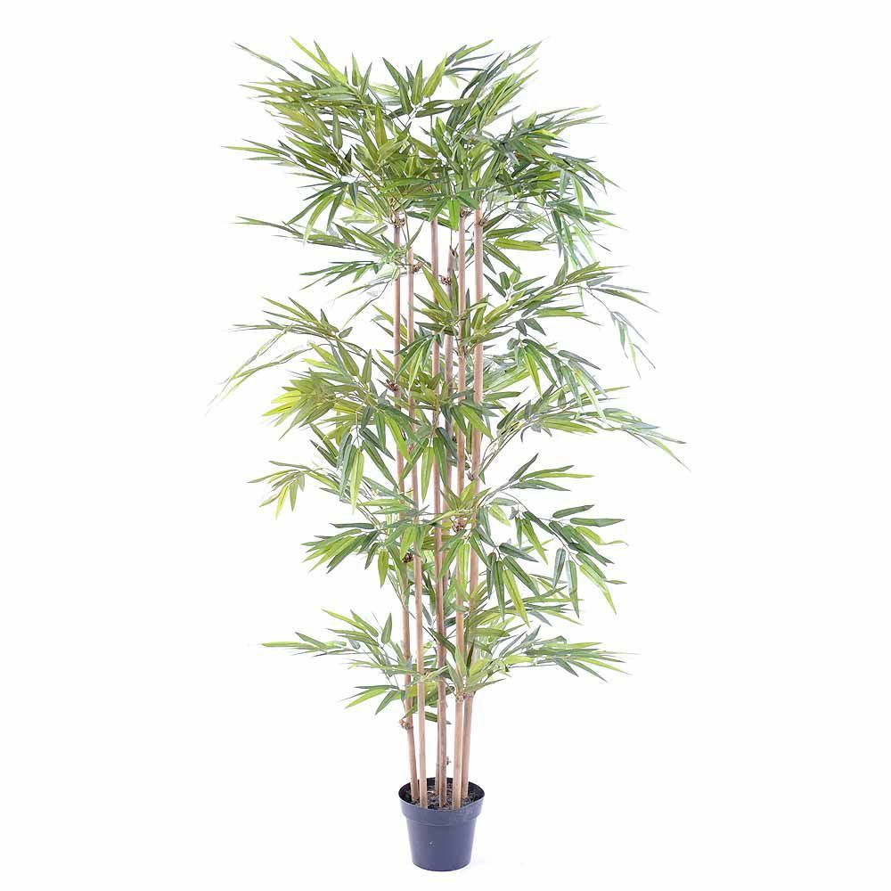 Bambou eco 140 cm