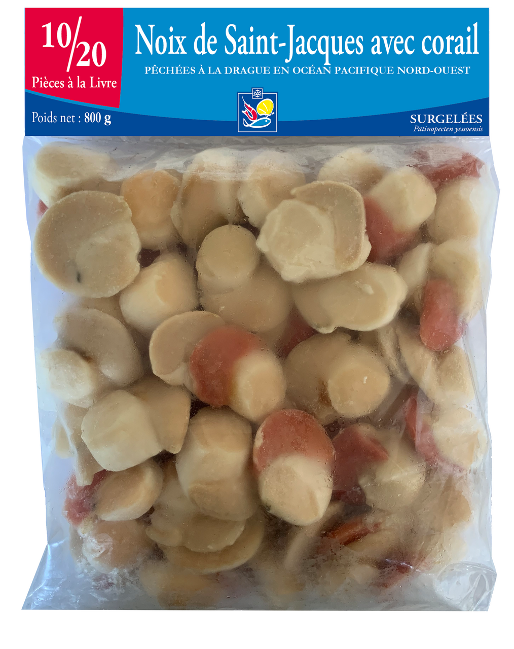 Marque exclusive Noix de Saint Jacques avec corail 10/20 sachet 800 g