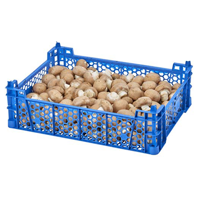 Champignon brun pied coupé moyen catégorie 1 France 3 kg