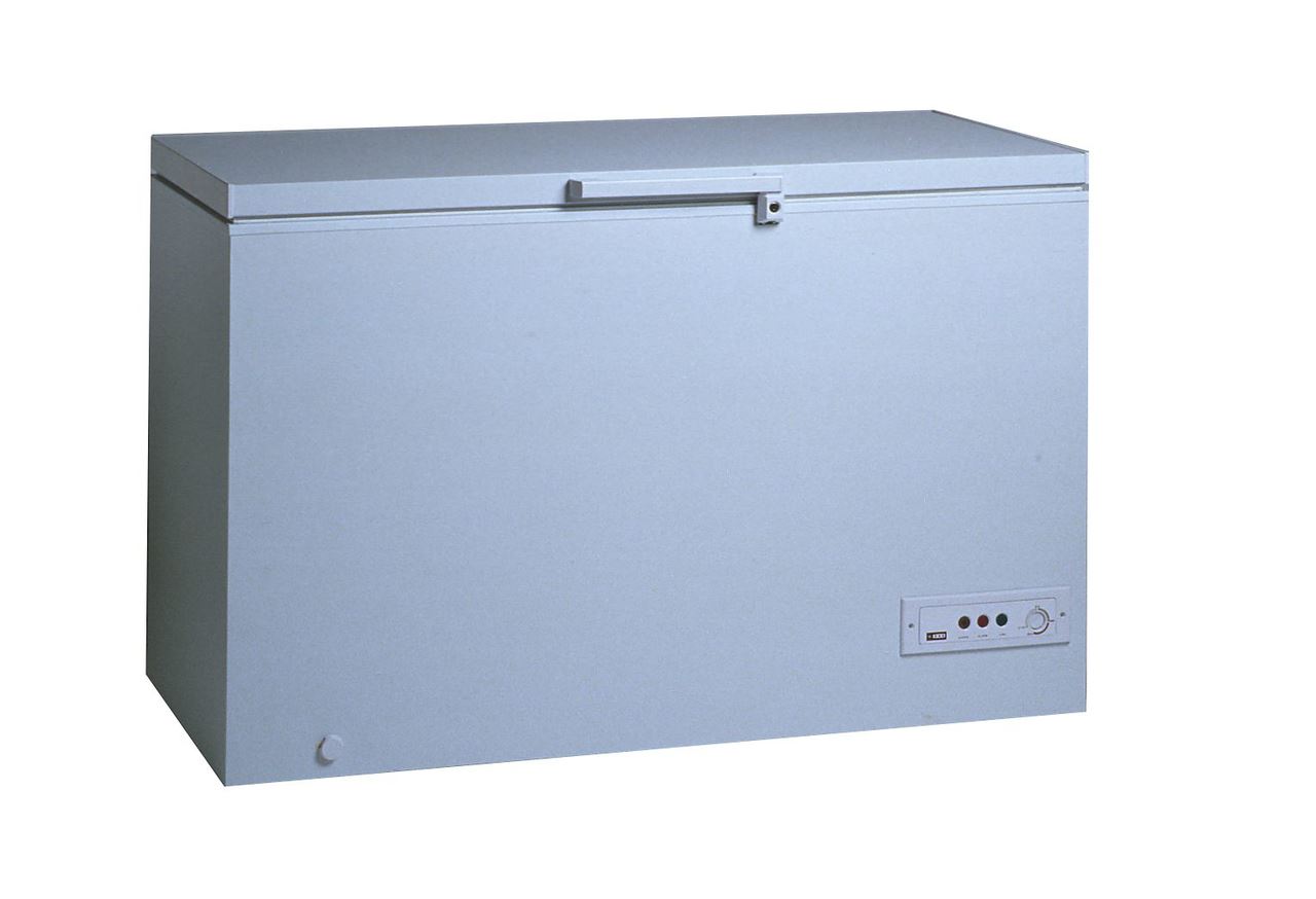 Congélateur bahut de stockage 278 L IARP - ES20351