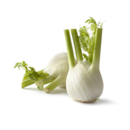 Fenouil 3 kg France