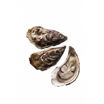 Huitre De Bretagne Creuse N3 48 Pieces Elevage France 4 Kg Metro