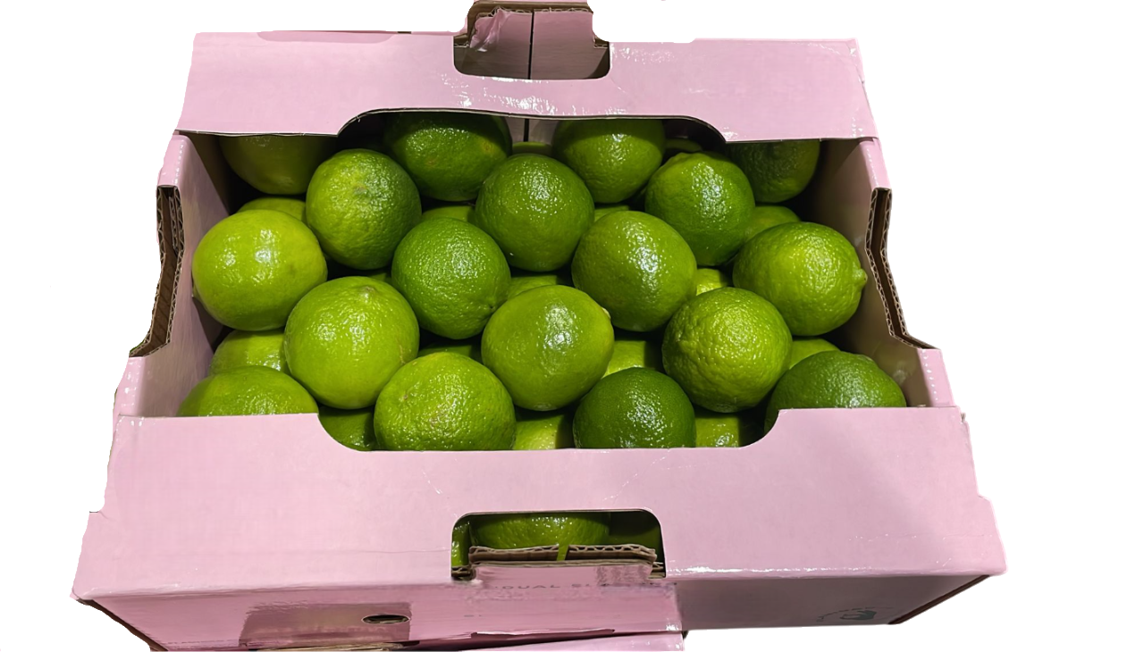 Lime calibre 1/2 catégorie 1 Brésil 4.5 kg