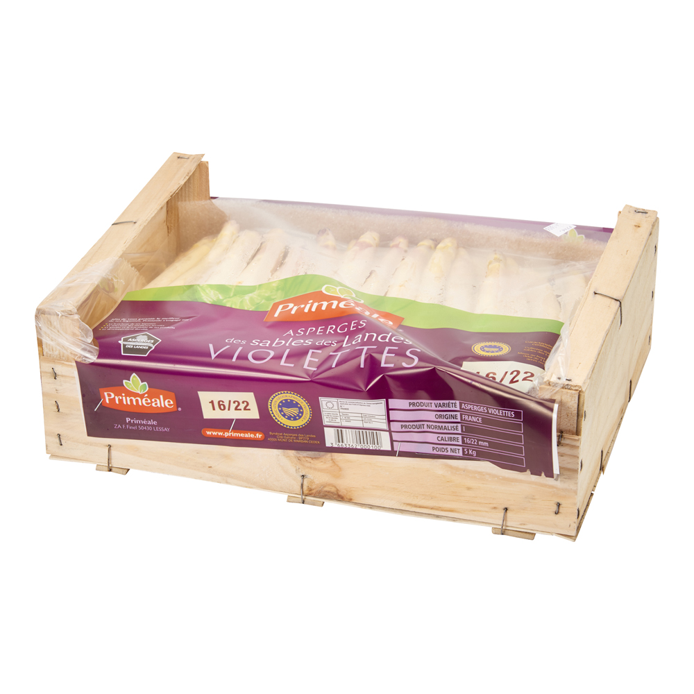 Asperge violette des Landes calibre 16/22mm catégorie 1 France 5 kg