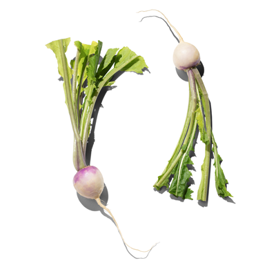 Navet Rond Primeur Categorie 1 5 Kg France Metro