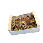 Champignon Chanterelle jaune France 1 kg