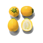 Courgette ronde jaune l'Oustalet 4 kg France