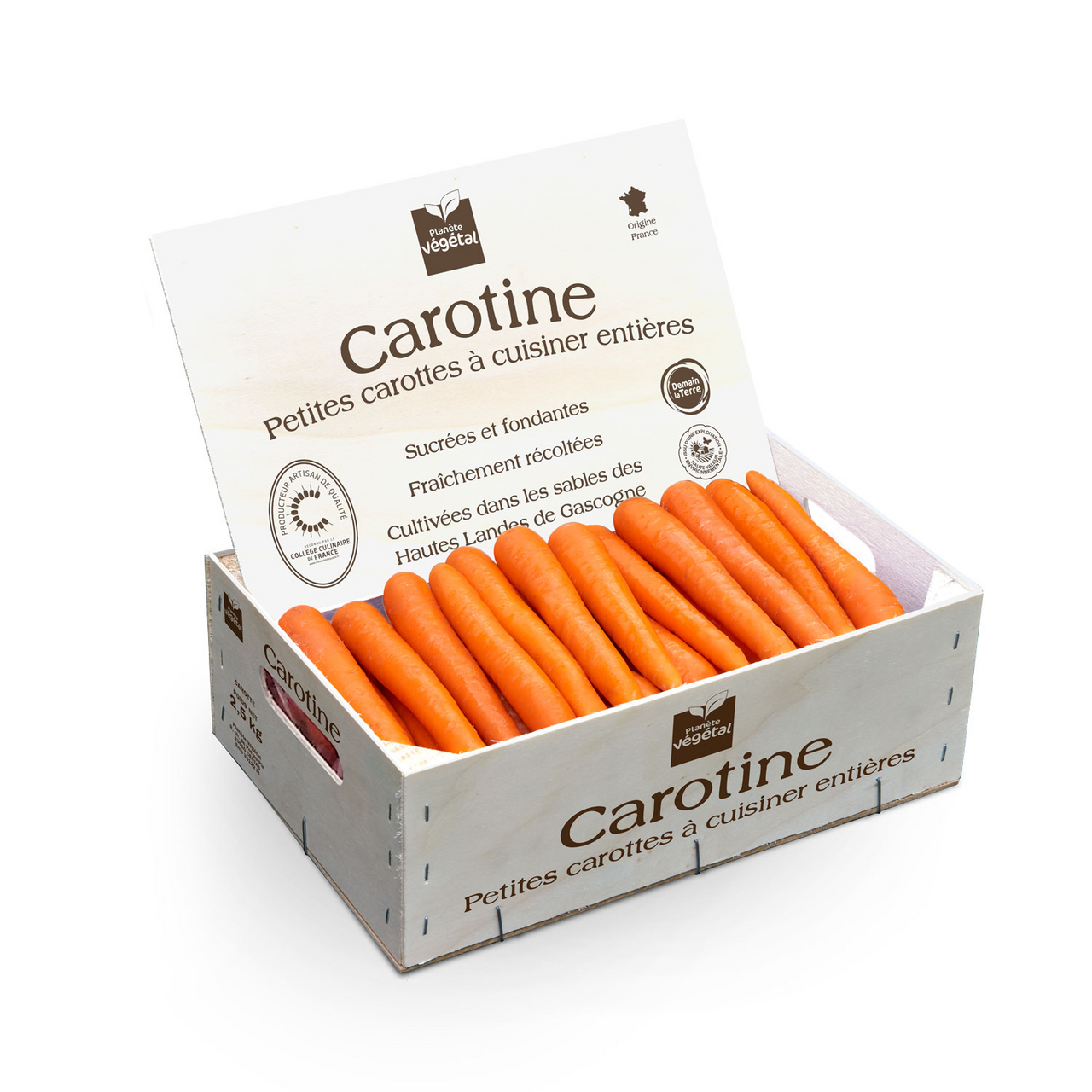 Carotte carotine France 2.5 kg