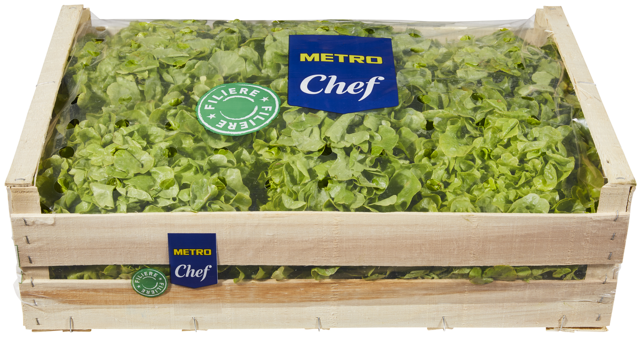 METRO Chef Salade feuille de chêne blonde catégorie 1 France