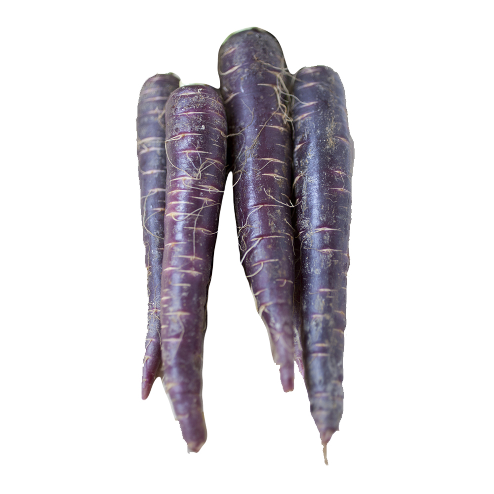 Mini carotte pourpre Sales 350 g France