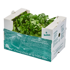 Salade cresson mereville botte 160 g France