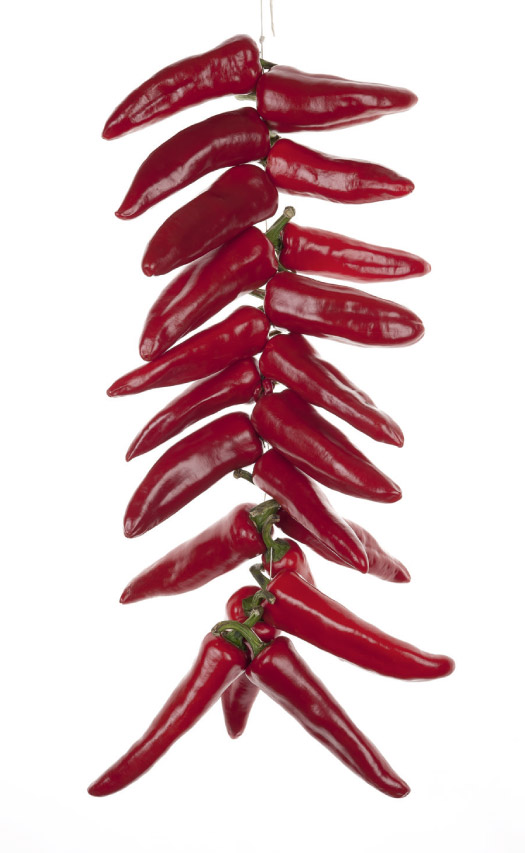 Piment d'Espelette poudre 50 g France
